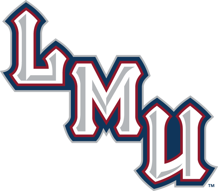 Loyola Marymount Lions 2001-Pres Wordmark Logo v2 iron on transfers for clothing
